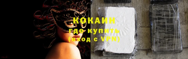 ПСИЛОЦИБИНОВЫЕ ГРИБЫ Нея