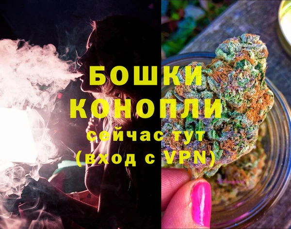 apvp Новозыбков