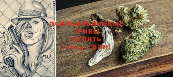 apvp Новозыбков